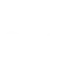 icon1